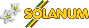 Solanum